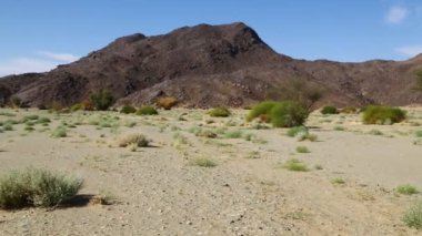 dağ ve yaban hayatı, Sudan, Afrika bush