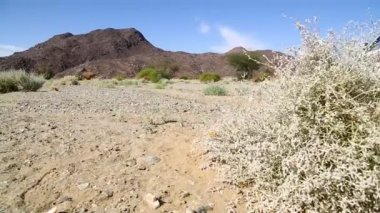 dağ ve yaban hayatı, Sudan, Afrika bush
