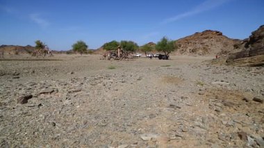 dağ ve yaban hayatı, Sudan, Afrika bush