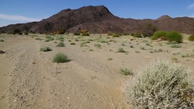 dağ ve yaban hayatı, Sudan, Afrika bush