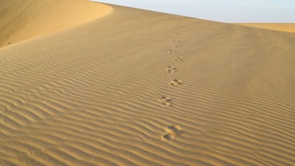 在非洲的沙漠中 — 图库视频影像
