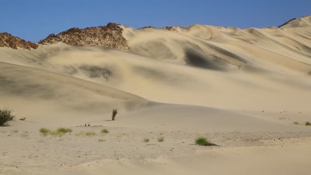 Medio Del Desierto Sudán África — Vídeos de Stock