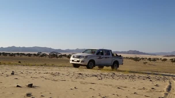 Middle Desert Sudan Africa — Stock Video