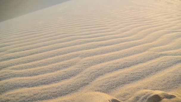 Mitten Öknen Sudan Afrika — Stockvideo