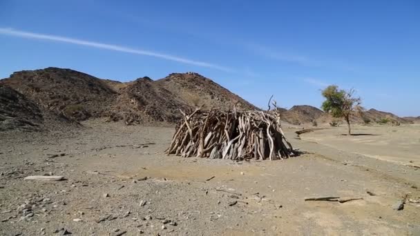 Montaña Arbusto Vida Silvestre Sudán África — Vídeo de stock