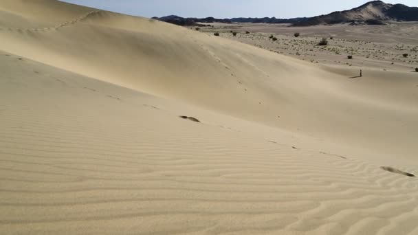 Medio Del Desierto Sudán África — Vídeo de stock