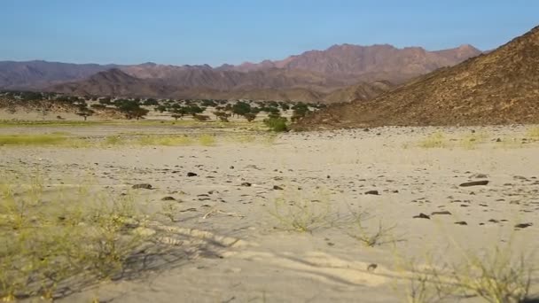 Medio Del Desierto Sudán África — Vídeos de Stock