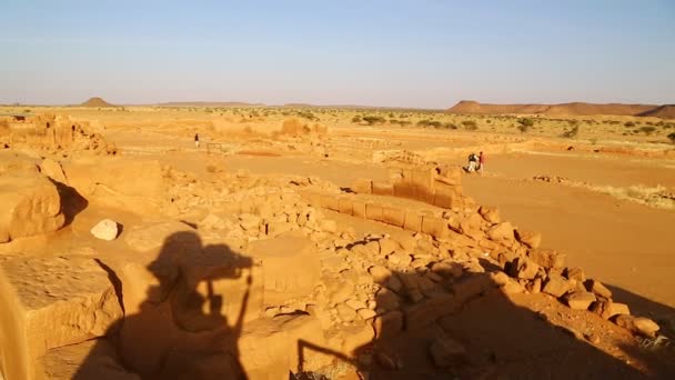 Felvétel Musawwarat Sufra Antik Templom Fekete Fáraók Közepén Sivatagban Szudánban — Stock videók
