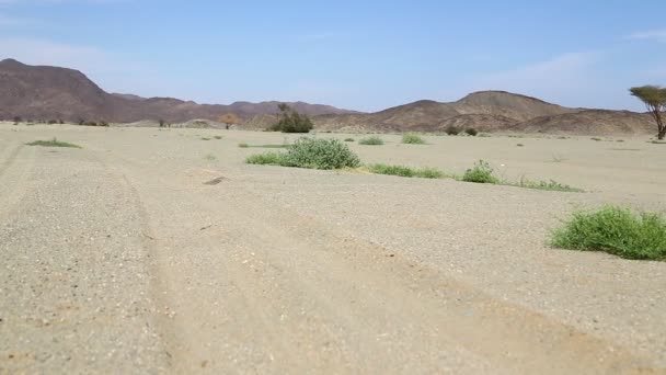 Στη Μέση Της Ερήμου Στο Σουδάν Αφρική — Αρχείο Βίντεο