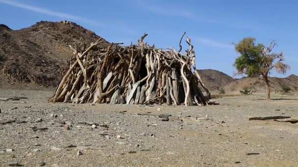 Montaña Arbusto Vida Silvestre Sudán África — Vídeos de Stock