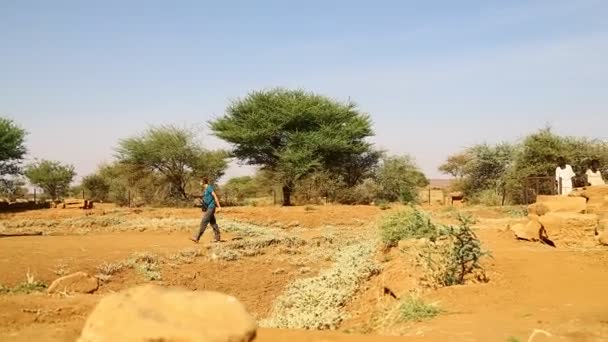 Turistas Caminando Cerca Ruinas Antiguas — Vídeo de stock