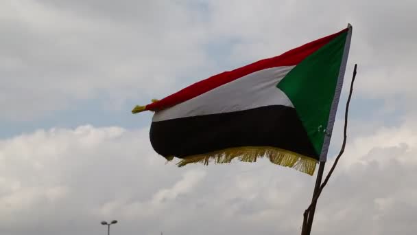 Palestijnse Vlag Beweging Door Wind Tegen Hemel — Stockvideo