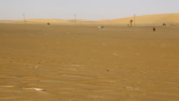 Het Midden Van Woestijn Soedan Afrika — Stockvideo