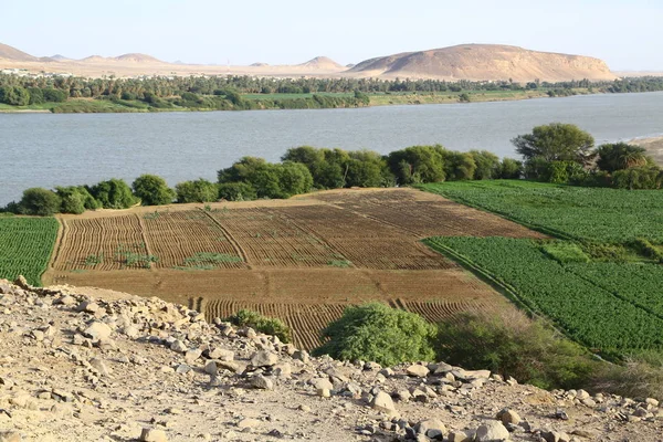 Afrika Sudan Kerma Die Antike Stadt Der Nubier Der Nähe — Stockfoto