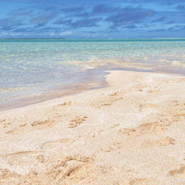 Polynesia Rangiroa Pink Sands Coastline Paradise Concept Rela — Stock Photo, Image