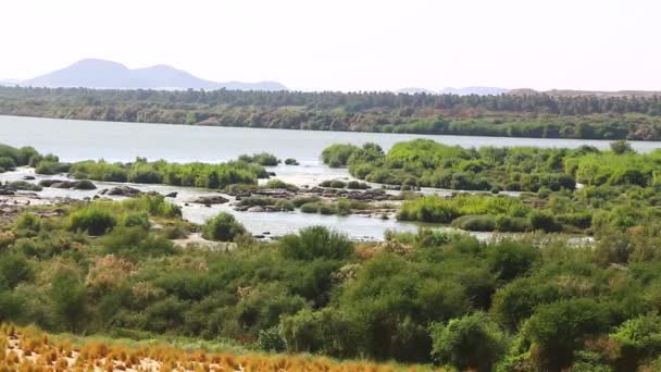 Τέσσερις Καταρράκτης Του Ποταμού Νείλου Σουδάν Αφρική — Αρχείο Βίντεο