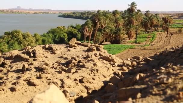 Négy Szürkehályog River Nile Szudán Afrika — Stock videók