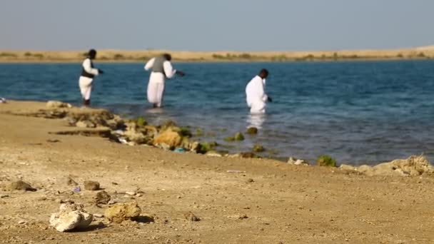 Vista Panorâmica Das Pessoas Que Pescam Mar Vermelho — Vídeo de Stock