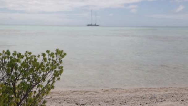 Vista Laguna Costera Bora Bora — Vídeos de Stock