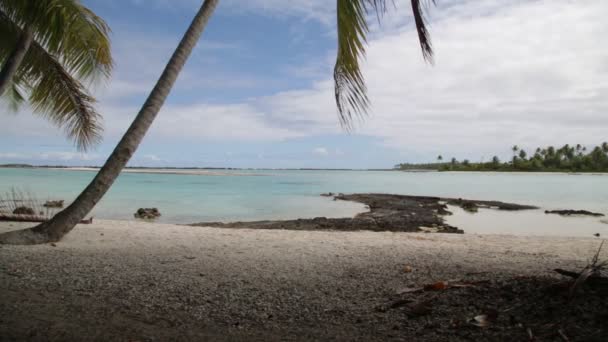 Utsikten Kusten Lagunen Bora Bora — Stockvideo