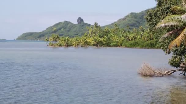 Vista Laguna Costera Bora Bora — Vídeo de stock