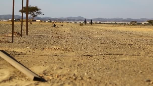 Sudan Afrika Nubian Çölünde Yaşam — Stok video