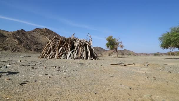 Жизнь Пустыне Судане Африка — стоковое видео