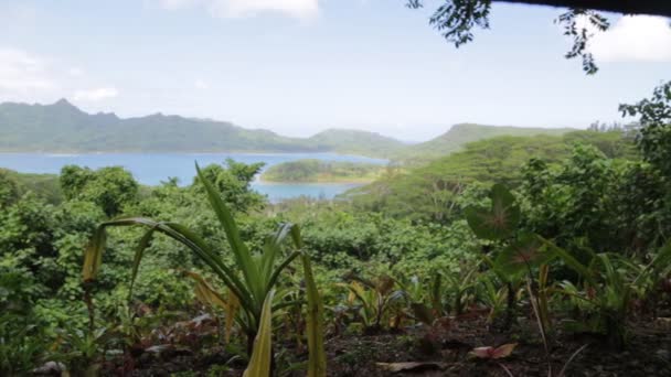 Blick Auf Die Lagune Der Küste Bora Bora — Stockvideo