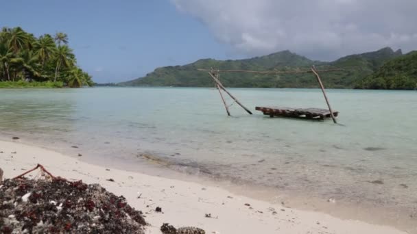 Widok Lagunie Wybrzeża Bora Bora — Wideo stockowe