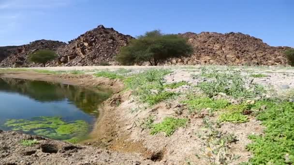 Rivierbed Nubische Woestijn Concept Van Wild Avonturen Soedan Afrika — Stockvideo