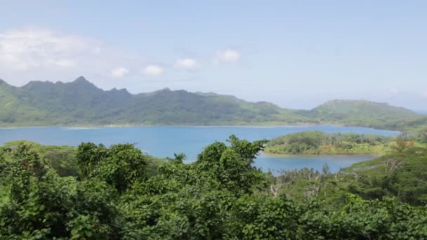Utsikten Kusten Lagunen Bora Bora — Stockvideo