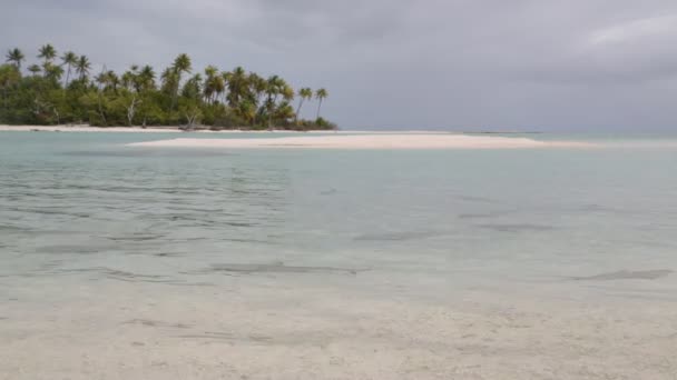 Vista Lagoa Costeira Bora Bora — Vídeo de Stock