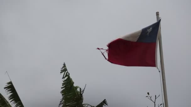 Σπασμένη Σημαία Που Κινείται Από Θυελλώδη Άνεμο Κατά Του Γκρίζου — Αρχείο Βίντεο