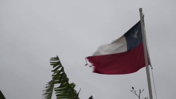 Bandera Rota Moviéndose Por Viento Tormentoso Contra Cielo Gris Chile — Vídeo de stock