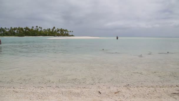 Blick Auf Die Lagune Der Küste Bora Bora — Stockvideo