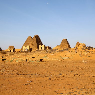 çöl ortasında siyah firavunlar, antik Afrika sudan meroe piramitleri
