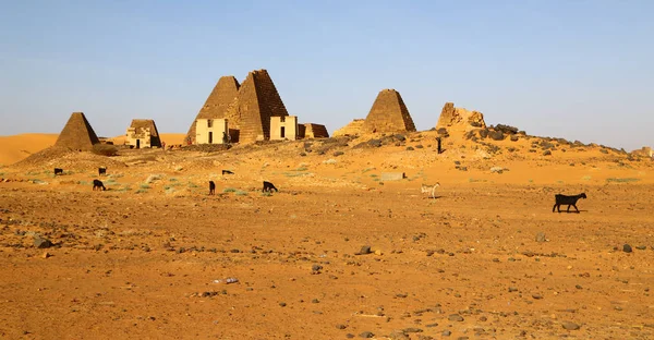 África Sudan Meroe Antigas Pirâmides Dos Faraós Negros Meio Deser — Fotografia de Stock