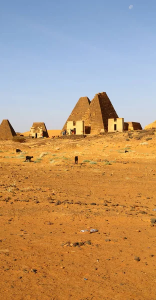 África Sudan Meroe Antigas Pirâmides Dos Faraós Negros Meio Deser — Fotografia de Stock