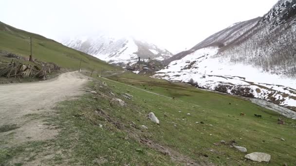 Beelden Van Mestia Old Village Beschermd Door Unnesco Georgië — Stockvideo