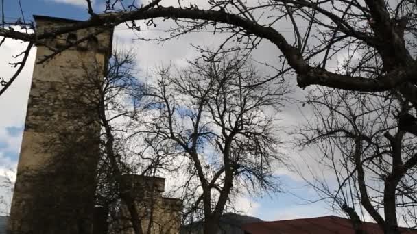 Beelden Van Mestia Old Village Beschermd Door Unnesco Georgië — Stockvideo