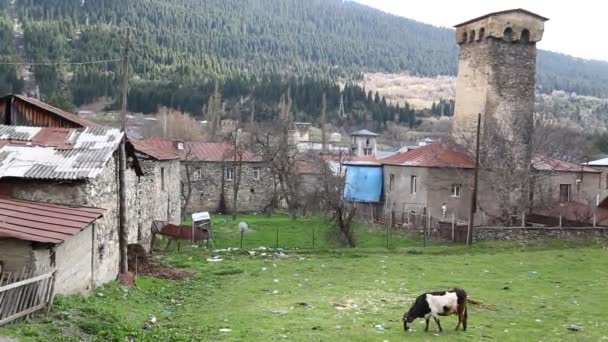 Riprese Del Vecchio Villaggio Mestia Protetto Dall Unesco Georgia — Video Stock