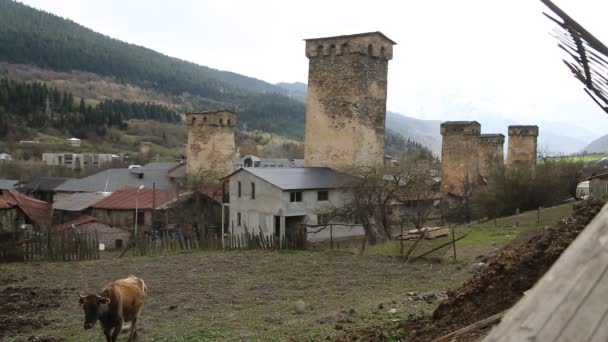 Beelden Van Mestia Old Village Beschermd Door Unnesco Georgië — Stockvideo