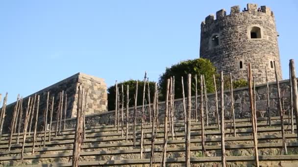 Akhaltsikhe Castle Antikes Erbe Der Kaukasischen Historischen Landschaft Georgien — Stockvideo