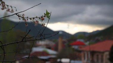 Unesco, Azerbaycan tarafından korunan şeki eski mimarisi 