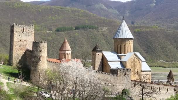 Люди Посещающие Старинный Замок Древней Грузии — стоковое видео