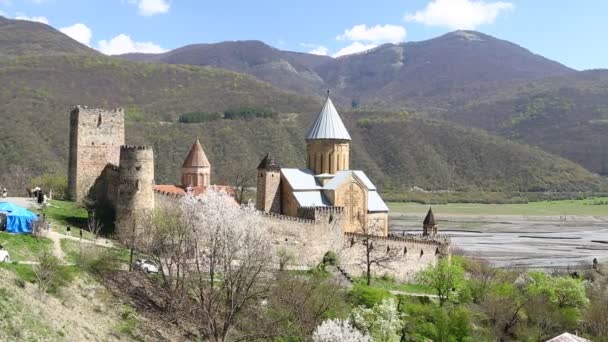 Άτομα Που Επισκέπτονται Παλιό Κάστρο Παλαιά Εδάφη Στη Γεωργία — Αρχείο Βίντεο