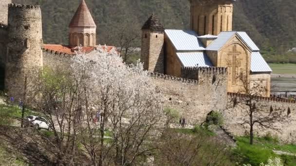 Люди Посещающие Старинный Замок Древней Грузии — стоковое видео