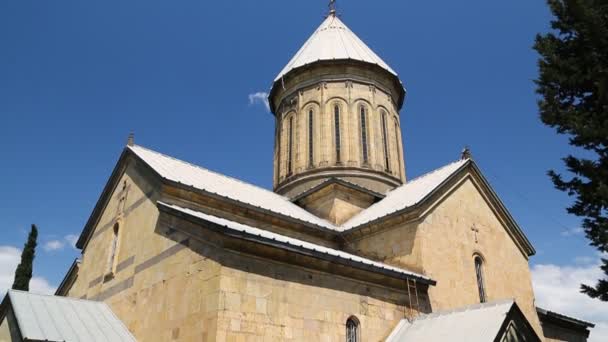 Uitzicht Oude Kerk Tbilisi Georgië — Stockvideo