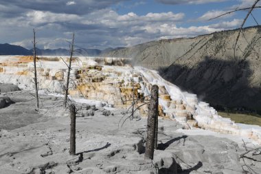  yellowstone milli parkı doğa  
