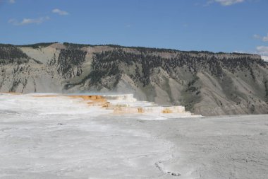  yellowstone milli parkı doğa  